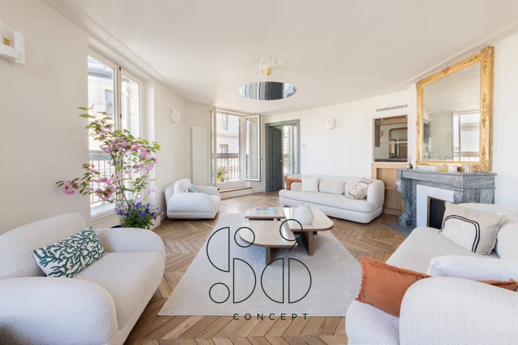 Appartement vue Notre Dame d Paris avec balcon filant et grand salon