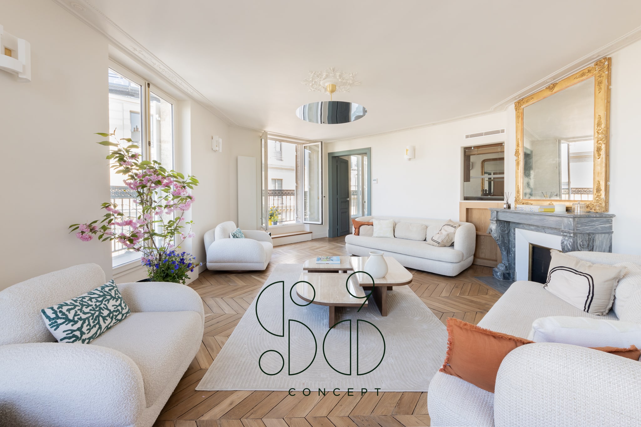 Appartement vue Notre Dame d Paris avec balcon filant et grand salon